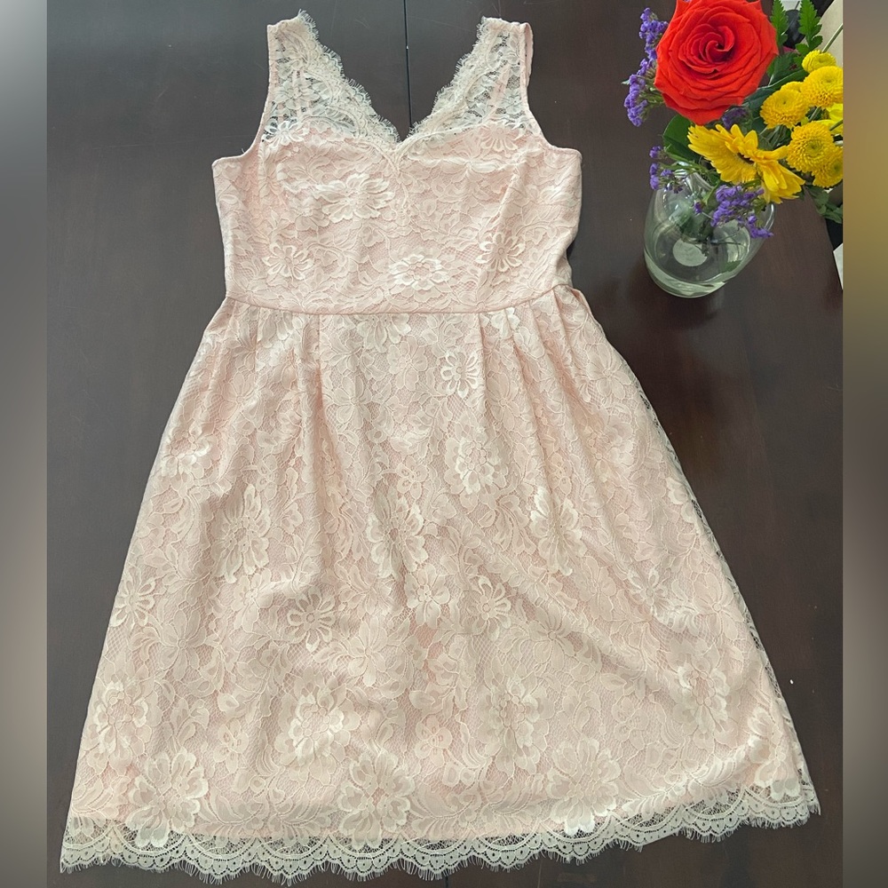 Weddington Way blush bridesmaid dress.